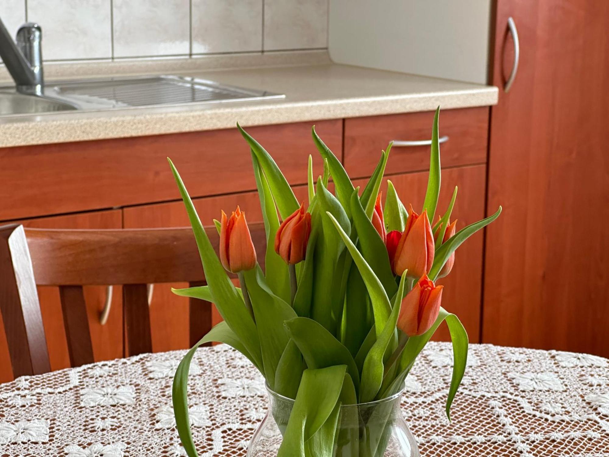 Sunny Hill Apartment Ilirska Bistrica