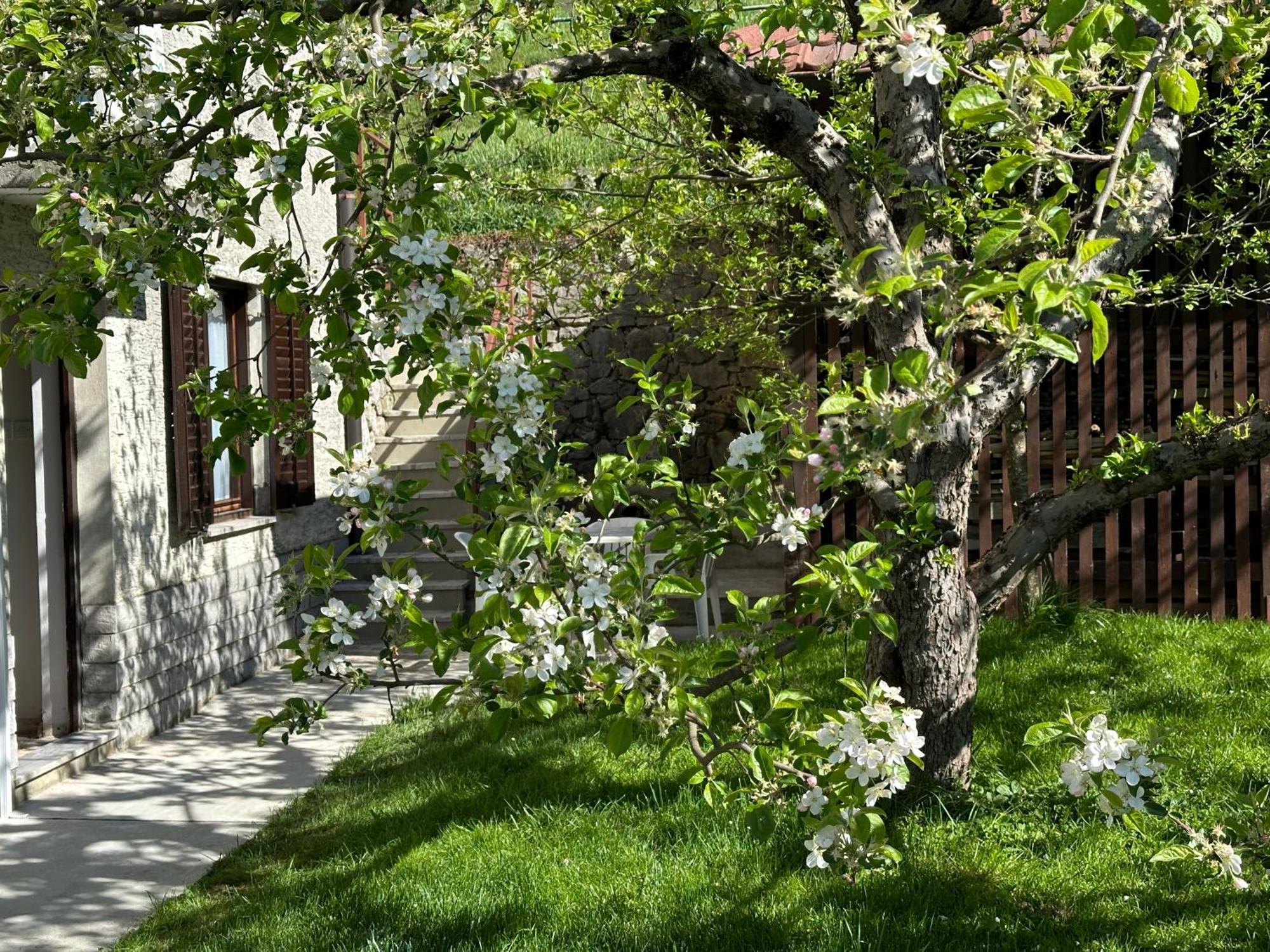 Sunny Hill Apartment Ilirska Bistrica